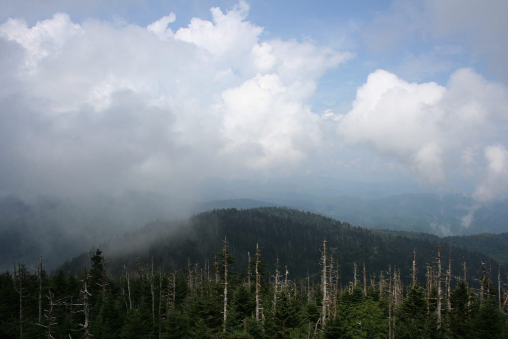 The View from Clingman's Dome