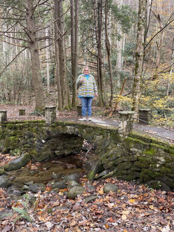 Lori on the Troll Bridge