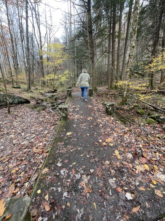 Lori Crossing the Troll Bridge