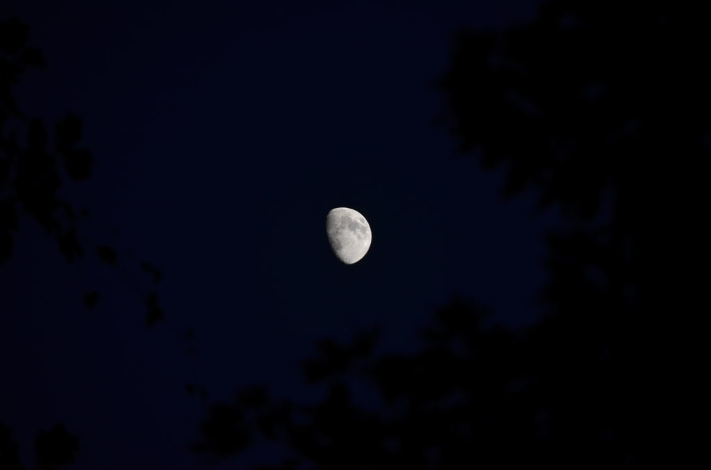 More Moon pics