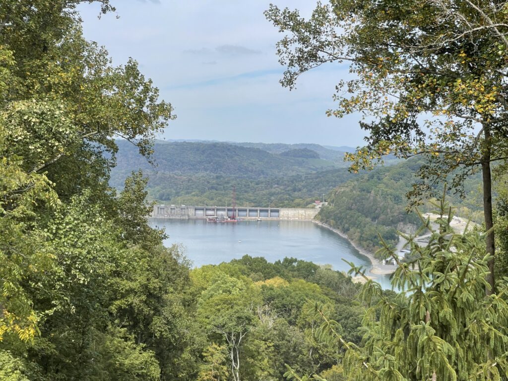 View from the observation tower
