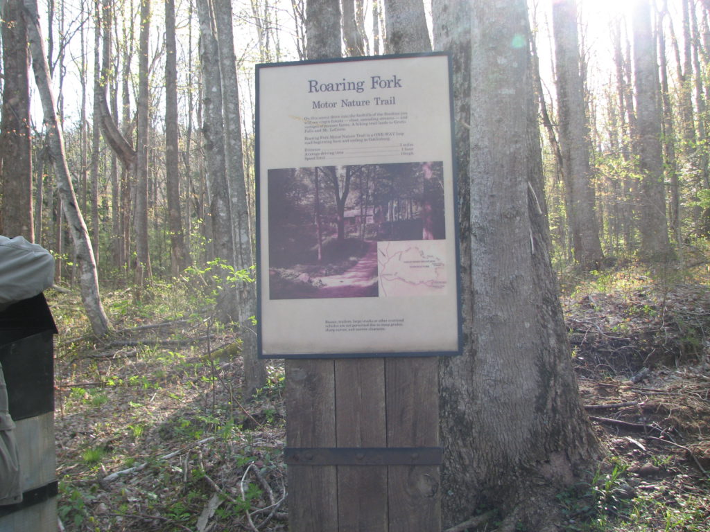 Roaring Fork Motor Nature Trail