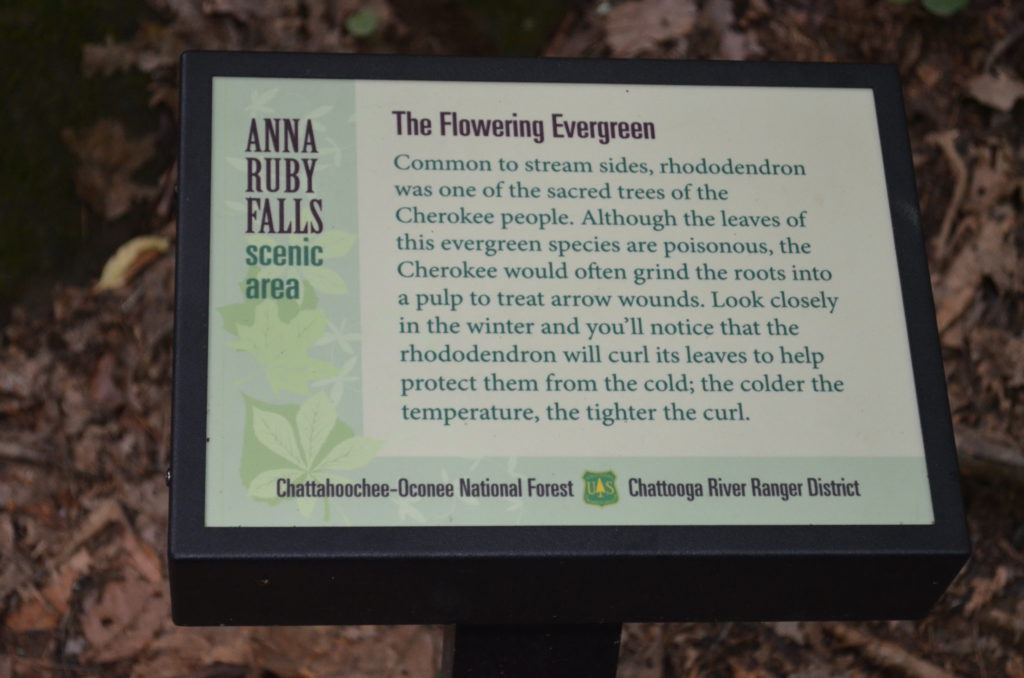 Flowering Evergreen Sign