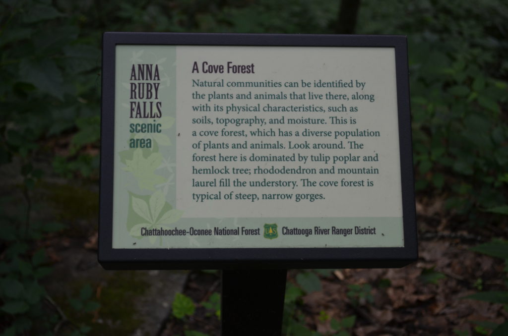 Cove Forest Sign