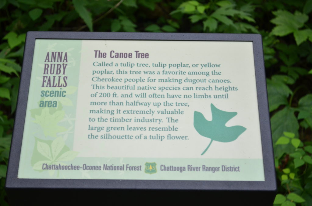 Canoe Tree Sign