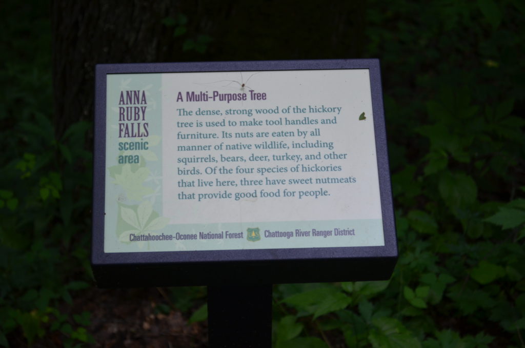 Multi-Purpose Tree Sign (Hickory Tree)