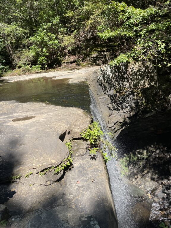 Top of Laurel Falls